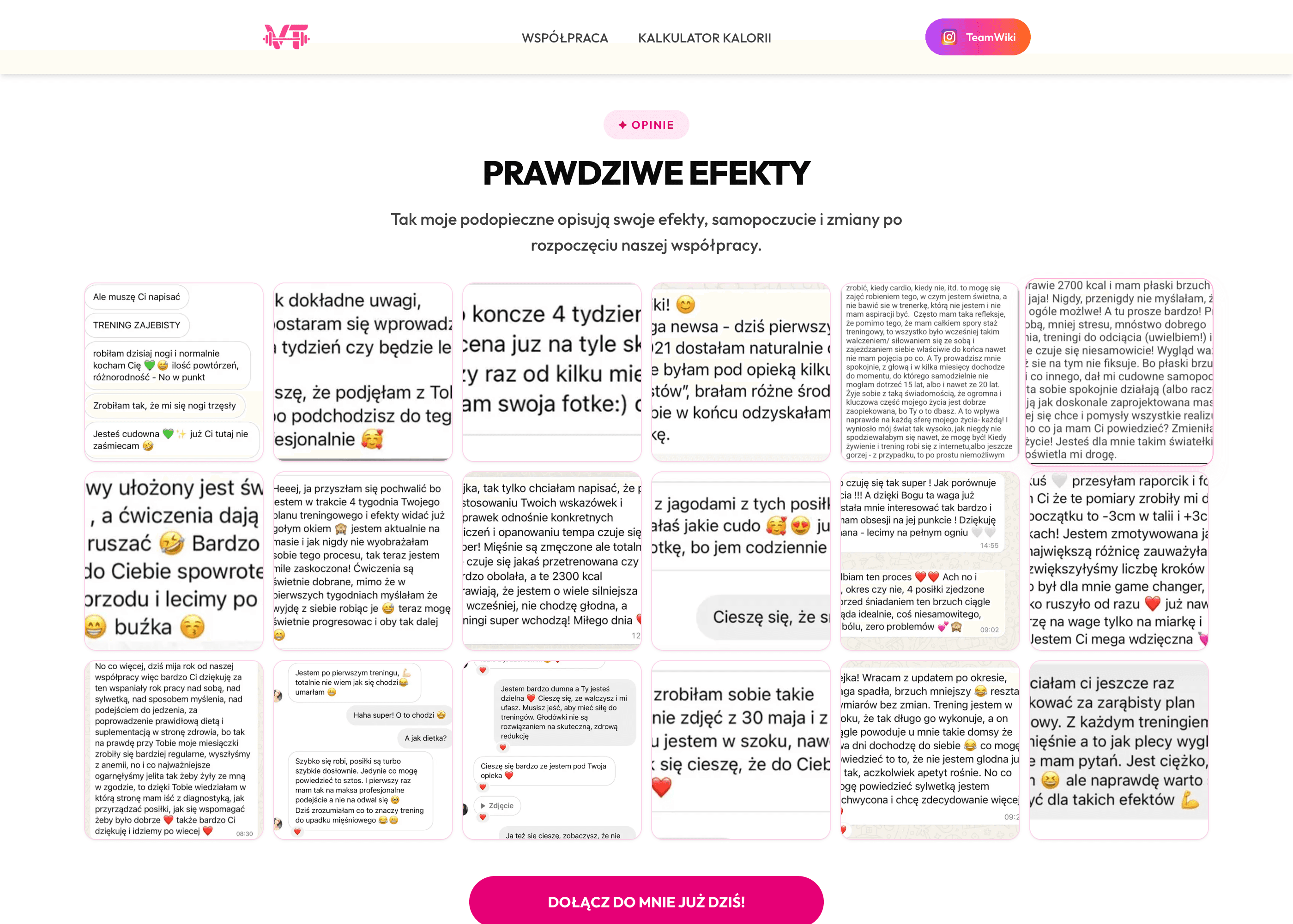 Strona internetowa teamwiki.pl